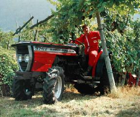 Massey Ferguson da vigneto